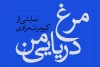 طراحان نمایش «مرغ دریایی من» معرفی شدند 2