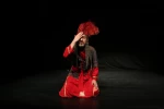 مجلس شمر کشی