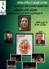 نقد و بررسی «تالاب هشیلان» در عمارت هنری تو 3