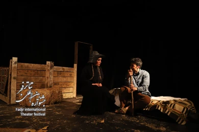 جایی در میان خوک ها