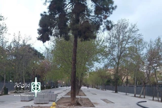 با تکمیل عملیات سنگ‌فرش؛

خیابان شهریار پیاده‌راه شد