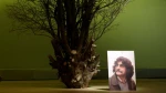 جایزه محمود استادمحمد برگزار نمی‌شود 2