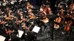 اجرای ۷۲ نوازنده ارکستر سمفونیک تهران در «علمدار»-عکس تزئینی از ارکستر سمفونیک 2