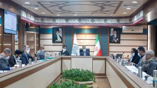 در سومین جلسه شورای هنر اعلام شد

کرونا بالغ بر هزار میلیارد تومان به اهالی هنر آسیب زد