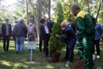 پنجاه و پنجمین سالگرد تاسیس تماشاخانه سنگلج برگزار شد
کاشت درختی به نام و یاد عباس جوانمرد در مجاورت تماشاخانه سنگلج 4