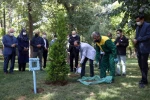 پنجاه و پنجمین سالگرد تاسیس تماشاخانه سنگلج برگزار شد
کاشت درختی به نام و یاد عباس جوانمرد در مجاورت تماشاخانه سنگلج 8