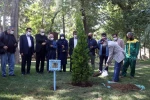 کاشت درختی به نام و یاد عباس جوانمرد