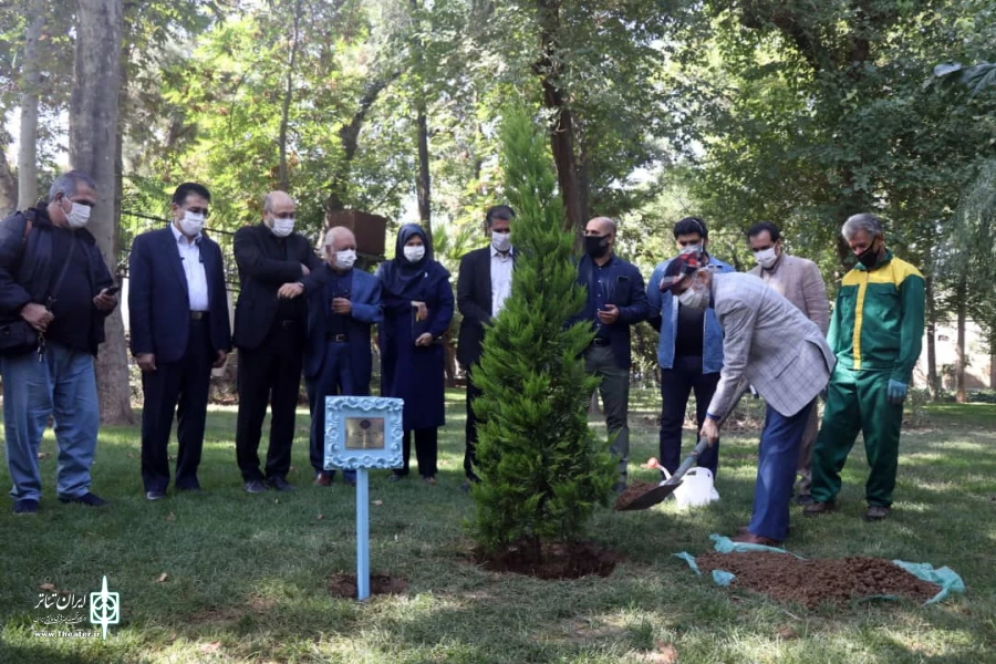 کاشت درختی به نام و یاد عباس جوانمرد