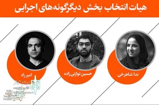 The selection Committe of the "Other performance" section was announced