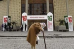 کارگردان و بازیگر «اسموکینگ روم» بستری شد 2