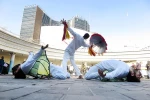 پیله انقلاب