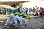 پیله انقلاب
