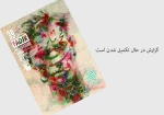 هشت روز بدون تماس تصویری