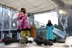 هشت روز بدون تماس تصویری