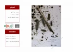 اسناد چهل سال تئاتر مقاومت 44