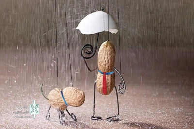 توسط هیات داوران

برگزیدگان جشنواره تئاتر و اشیاء معرفی شدند