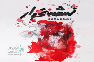 نگاهی به  نمایش نشخوار اثر امیرحسین اثنی عشری

ما انتخاب می‌کنیم یا انتخاب می‌شویم