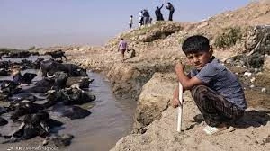 Supporting artists with people of Khuzestan