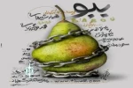 سالن گلایل پردیس تئاتر شهرزاد میزبان نمایش «ببو» شد 2