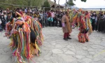 طوطی و بازرگان