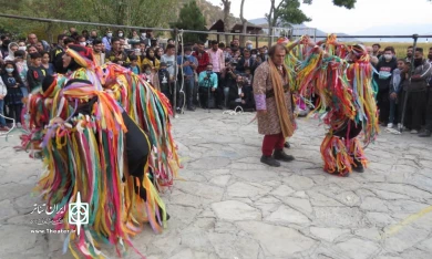 طوطی و بازرگان