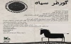 هنرنمایی «گورخر سیاه» روی صحنه 2