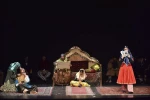 مرغ دریایی دایی وانیا‎‎