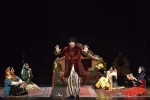 مرغ دریایی دایی وانیا‎‎