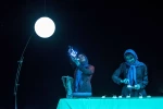 گورخر سیاه