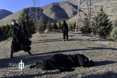 دگر دیسی شاعرانه یک گیشا