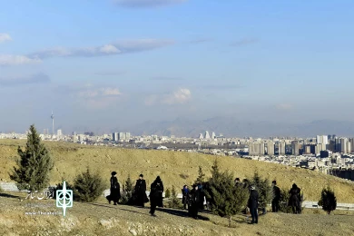 دگر دیسی شاعرانه یک گیشا