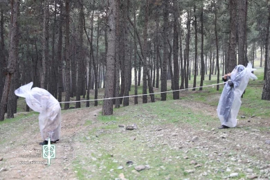 شدن