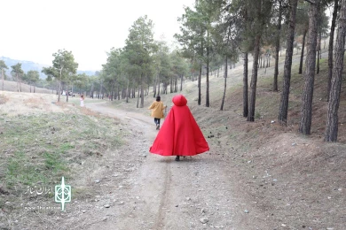 شدن