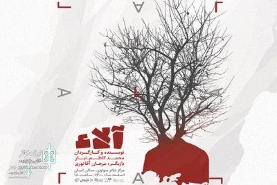 The poster of 