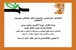 افتتاحیه یازدهمین جشنواره تئاتر خیابانی شهروند لاهیجان 2
