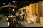 عامل مهاجرت هنرمندان خوب استانی نشویم 5