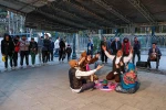 کوسه برنشین