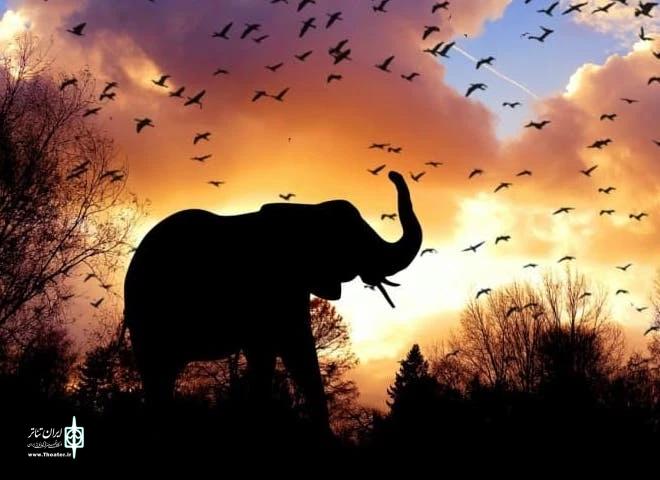 elephant-660-480