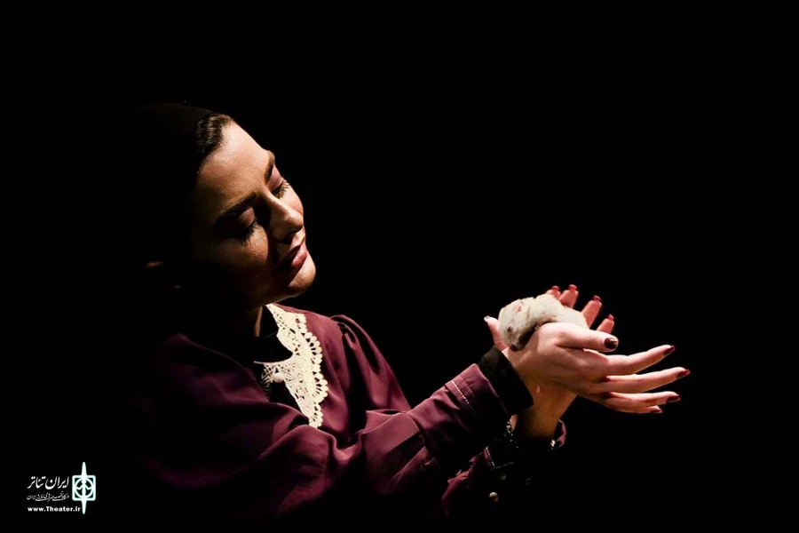 سایه روشن
