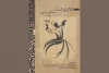 رشد تئاتر هر کشور در گروی سه عامل آموزش، پژوهش و آفرینش است 3