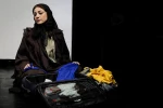 حقایقی درباره سگ‌ها و گربه‌ها