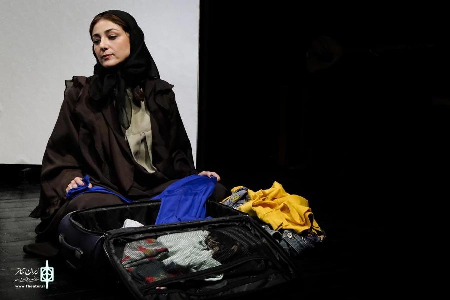 حقایقی درباره سگ‌ها و گربه‌ها