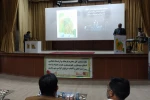 بخش خیابانی سی و سومین جشنواره تئاتر سیستان و بلوچستان به میزبانی شهرستان سراوان برگزار شد.