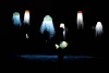 ماهی کوچولو