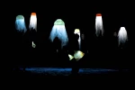 ماهی کوچولو