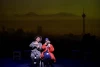 از نظر سیاسی بی ضرر