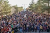 هنرمندان و عروسک‌ها، شادی را به اردکان آوردند 10