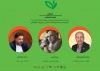 آثار منتخب 3 بخش از جشنواره‌ تئاتر خیابانی شهروند لاهیجان معرفی شدند 4