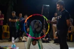 سیزدهمین جشنواره تئاتر شهروند لاهیجان-2