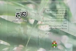 انتشار سه کتاب نمایشنامه از زوج هنرمند خرمشهری 3